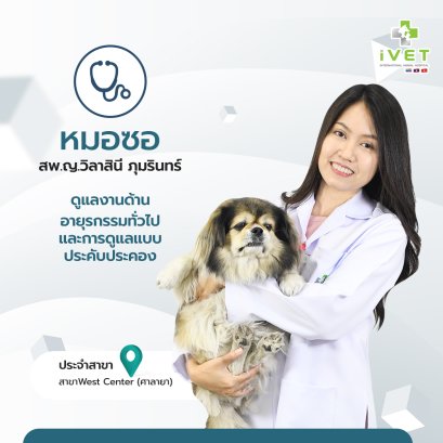 สพ.ญ. วิลาสินี ภุมรินทร์ ( หมอซอ )